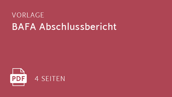 Vorlage BAFA Abschlussbericht