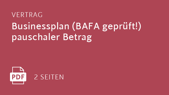 Businessplan (BAFA geprüft!) pauschaler Betrag