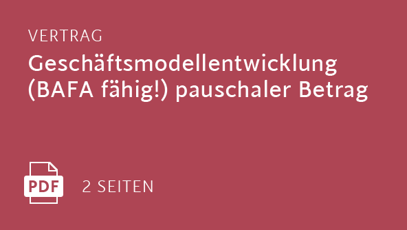 Geschäftsmodellentwicklung (BAFA fähig!) pauschaler Betrag