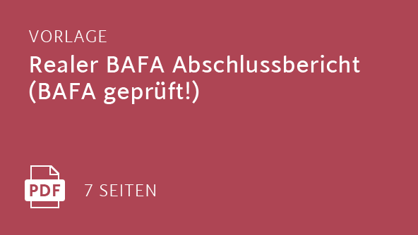 Realer BAFA Abschlussbericht